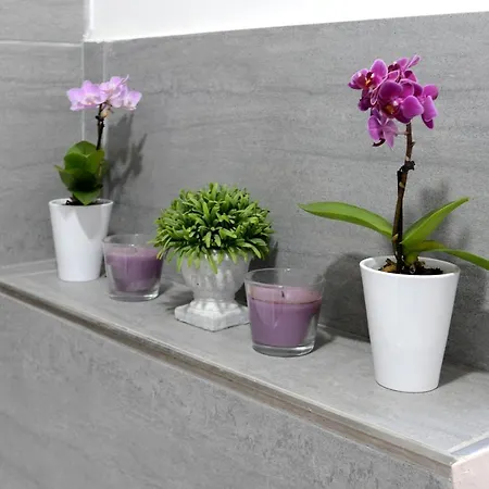 Casa Dania Appartement *